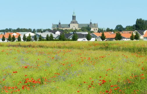 Illustration tomtkö.