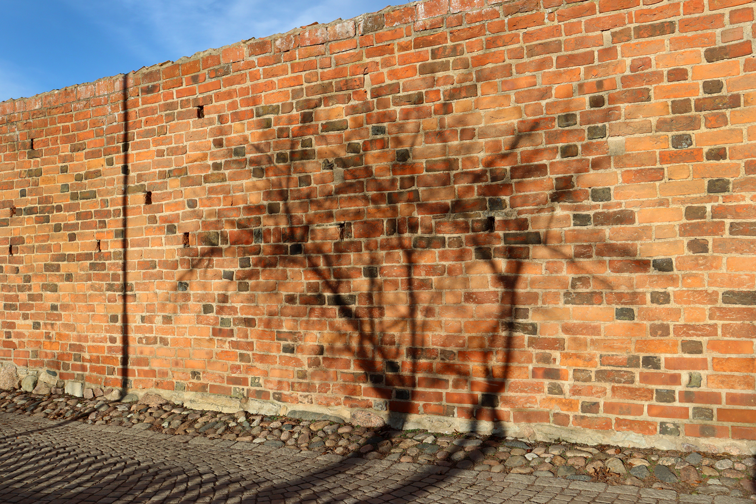 Skuggan av ett träd mot en medeltida tegelmur