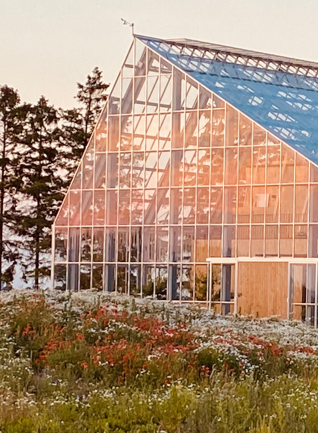 Glashus med växtlighet framför