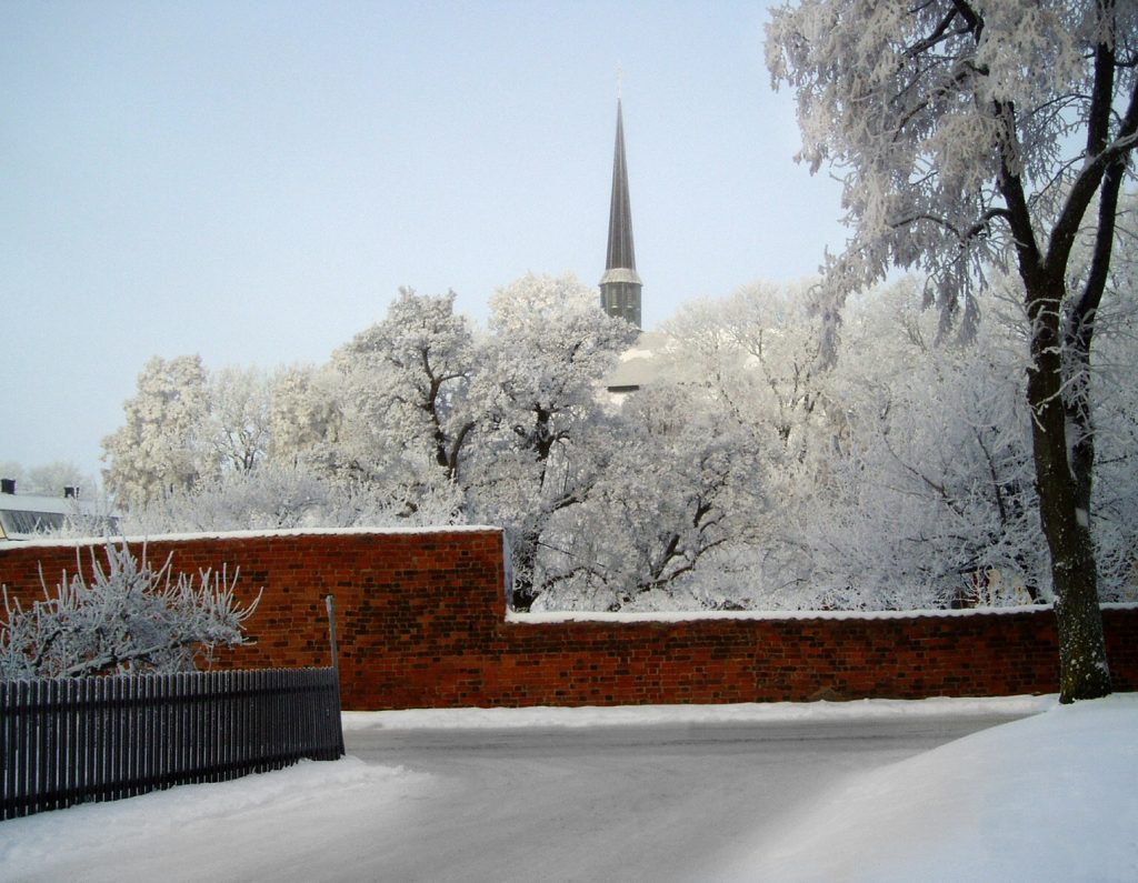 Rött plank och träd med snö